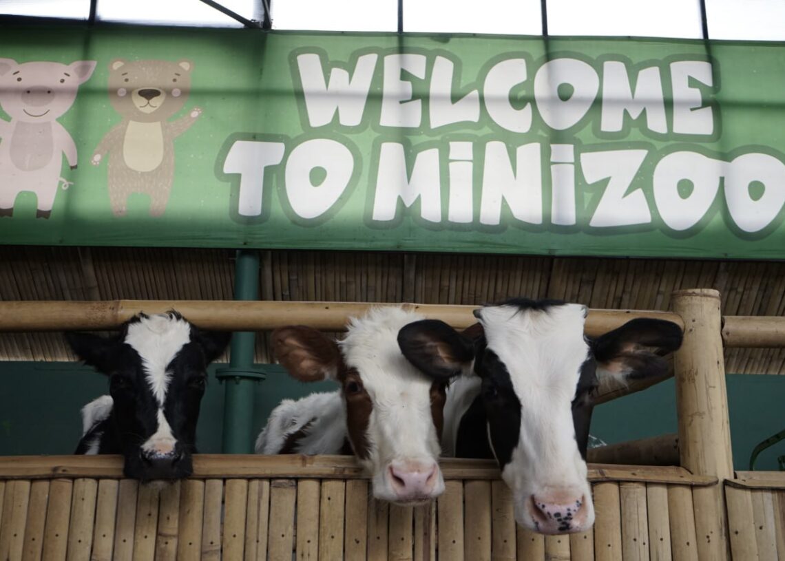 Mini Zoo, Jadi Tempat Favorit Tamu Hotel Grand Tjokro Bandung