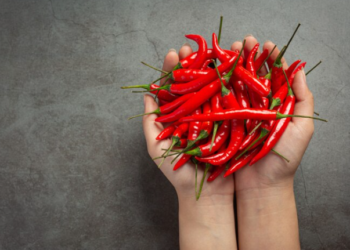 Meski Pedas, Ternyata Banyak Manfaat Makan Cabai Bagi Kesehatan!