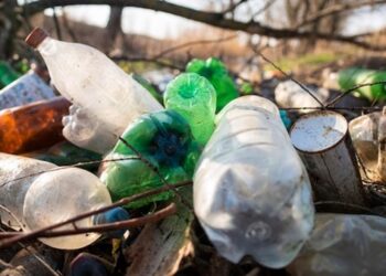 Hari Peduli Sampah Nasional 2024: Berikut Tema dan Tujuannya