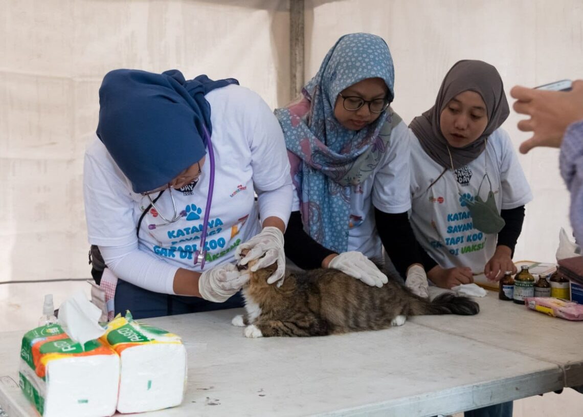 Pecinta Kucing Sambut Antusias Vaksinasi Rabies dan Sterilisasi Gratis