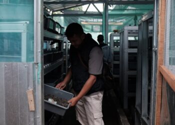 Manfaatkan Maggot Sejak 4 Tahum Lalu, Kelurahan Rancabolang Mampu Olah Sampah Organik 2 Ton per Hari