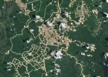 NASA Soroti Perubahan Hutan Di Kawasan Proyek Pembangunan IKN