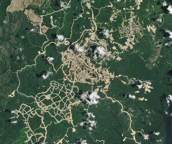 NASA Soroti Perubahan Hutan Di Kawasan Proyek Pembangunan IKN