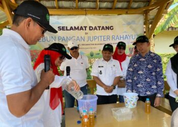 Kebun Pangan Jupiter Rahayu, Bukti Peran SEI  Sukseskan Program Ketahanan Pangan