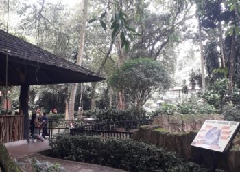 Kebun Binatang Bandung Bukan Sekadar Tanah, Harga Diri Sunda dalam Ancaman