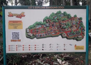 Akta Resmi Terungkap! YMT Bergerak Lawan Dualisme Pengelolaan Kebun Binatang Bandung