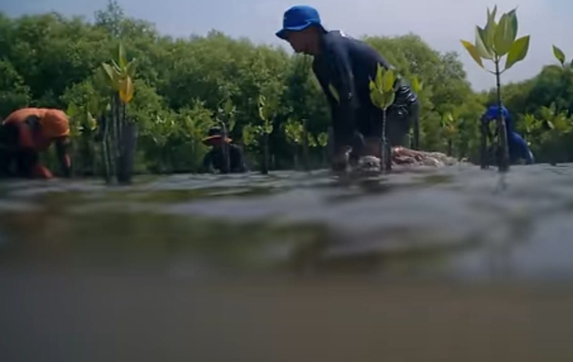 Pesisir Tergerus, Harapan Luntur: Matra Pantura, Suara Perlawanan dari Garis Pantai