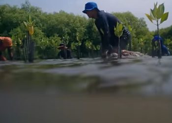 Pesisir Tergerus, Harapan Luntur: Matra Pantura, Suara Perlawanan dari Garis Pantai