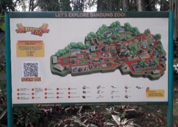 Diserbu 4.000 Pengunjung, Saat Bandung Zoo Bangkit Lewat Parade Satwa