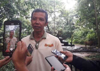 Kisruh di Kebun Binatang Bandung, Karyawan Lawan Bayangan TSI