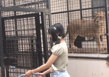 Peluh, Pakan, dan Tapir, Ini Sekolah Konservasi Alam Ala Bandung Zoo