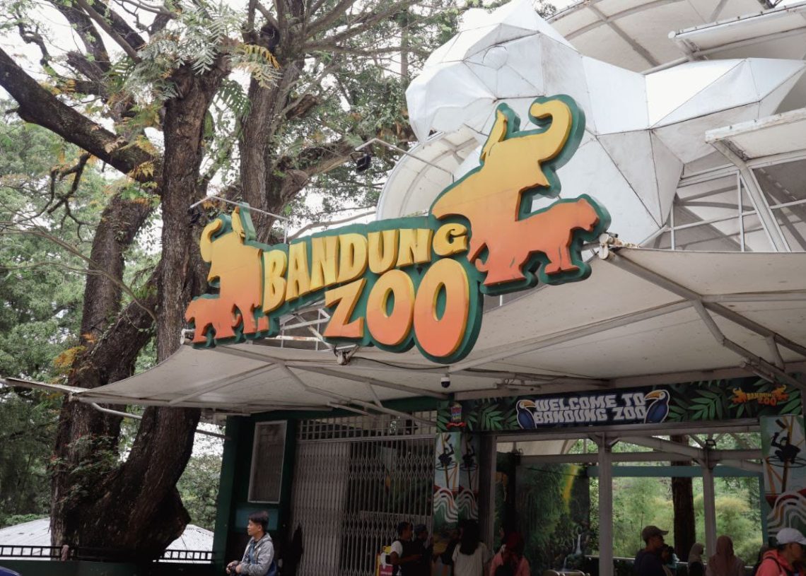 Bandung Zoo Buka Lagi, Konflik Masih Mengintai