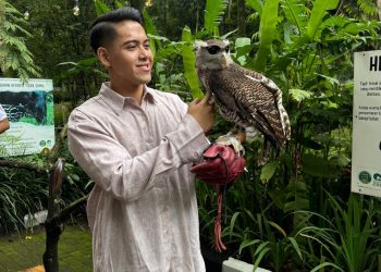 Bandung Zoo Direbut Kembali, Sunda Lawan Dominasi Asing