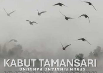 Kebun Binatang Bandung, Warisan yang Tergerus dari Kolonial ke Konflik Modern