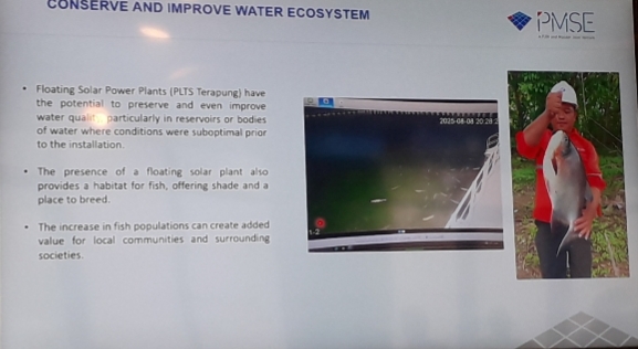 Koloni ikan air tawar tumbuh dan berkembang biak di bawah panel surya danau cirata. (Foto : Denny)