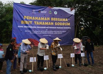 Ketahanan Pangan 2027, PTDI Gandeng Jabar Revolusi Sorgum Nasional