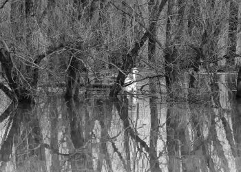 Ledakan Bencana Ekologis Intai Jabar, Walhi Ungkap Fakta Mengerikan