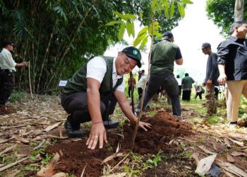 HUT Tanpa Karangan Bunga, SEI Pilih Hadiah Bibit untuk Bumi