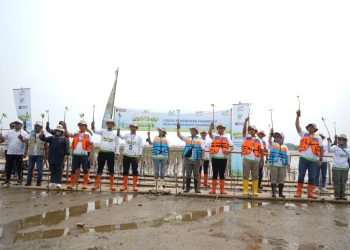 PLN Tanam 20 Ribu Pohon di Karawang untuk Perkuat Pesisir dan Cegah Abrasi