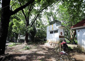 Wali Kota Bandung Soroti Pohon dan Septic Tank, Risiko Nyata Terabaikan