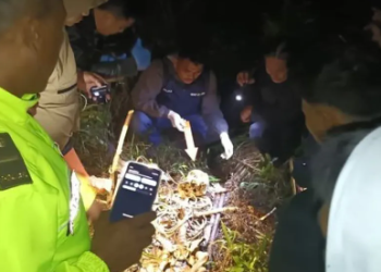 Geger, Kerangka Misterius Ditemukan di Hutan Garut, Polisi Selidiki Identitas Korban