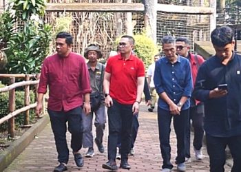 PDI-P Jabar Kumpulkan Rp200 Juta, Satwa Bandung Zoo Diselamatkan Seketika!