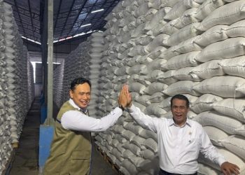 Pecah Rekor! BULOG Kantongi 5 Juta Ton Beras, Tertinggi Sepanjang Masa