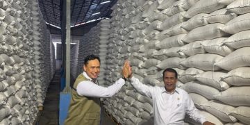 Pecah Rekor! BULOG Kantongi 5 Juta Ton Beras, Tertinggi Sepanjang Masa